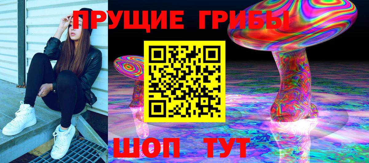 Сорочинск  Галлюциногенные грибы Psilocybine cubensis  Вход с VPN 