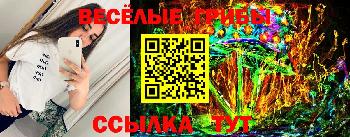 Галлюциногенные грибы Psilocybe Сорочинск